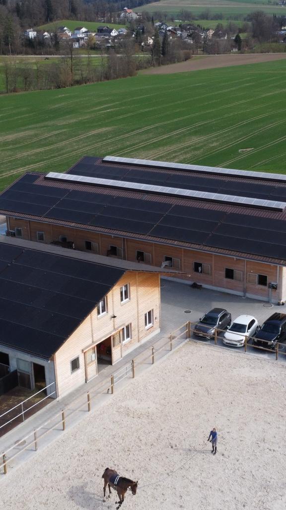 Pferdestallungen mit Sandplatz