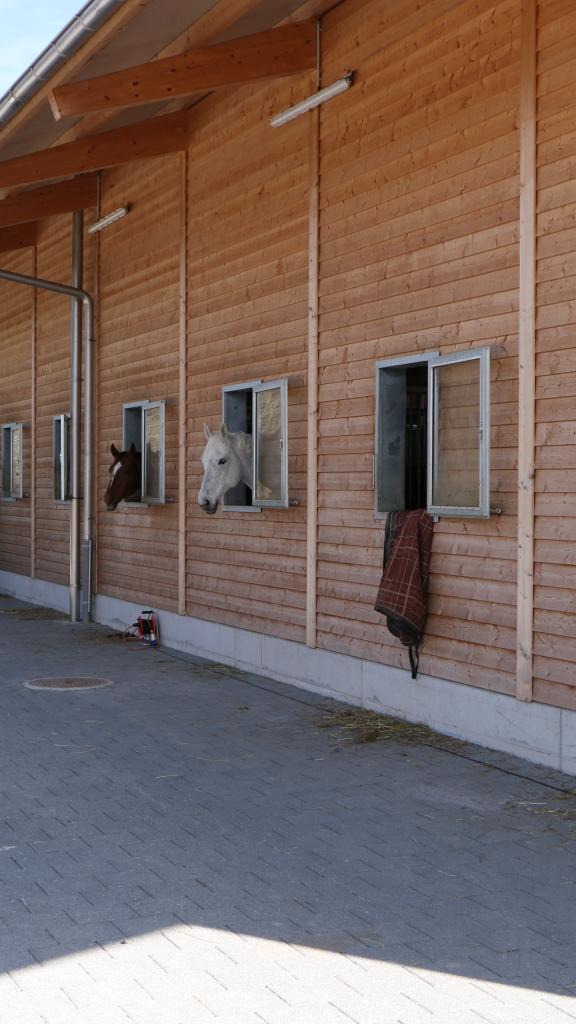 Pferdestall mit Laufband