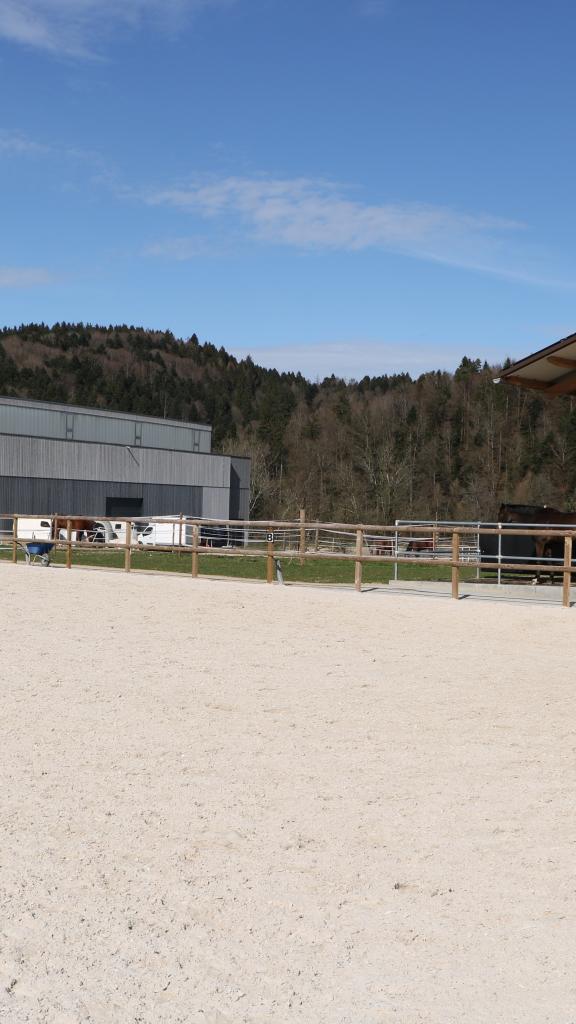 Sandplatz mit Pfedestall und Reithalle