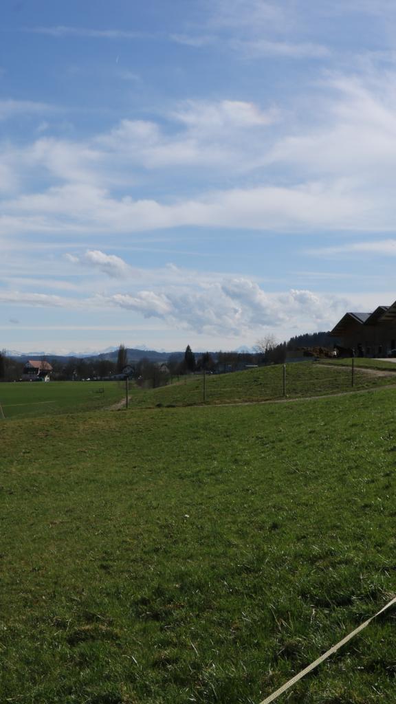 Stallgebäude mit Wiese und blauem Himmel