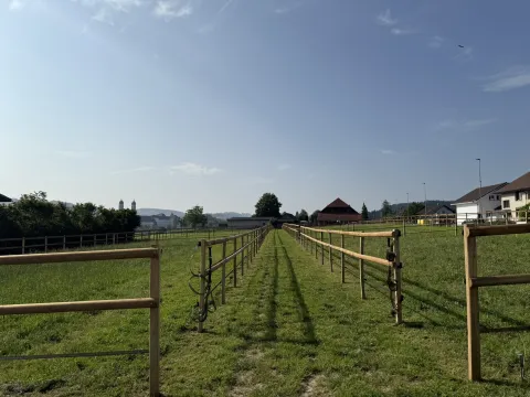 Gründe Weiden mit Holzzäunen